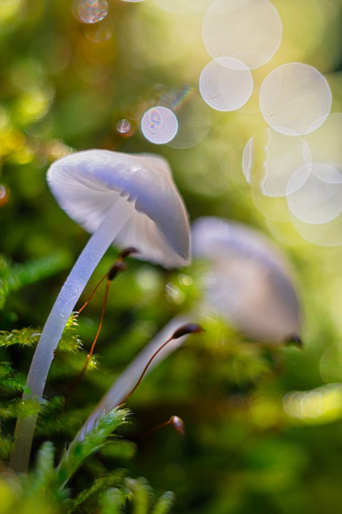 Photograph by Aleksandr Karyagin