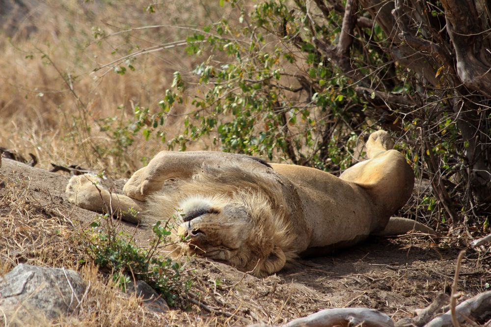 Photograph by Drora Baharal