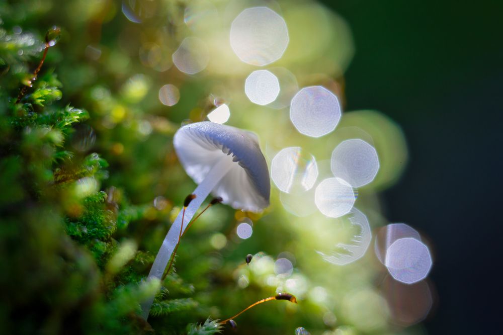 Photograph by Aleksandr Karyagin