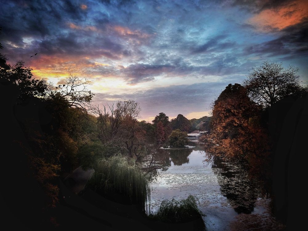 Photograph by Angelo Sab