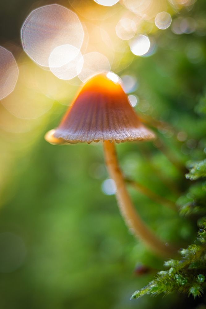 Photograph by Aleksandr Karyagin