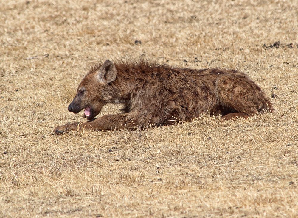 Photograph by Drora Baharal