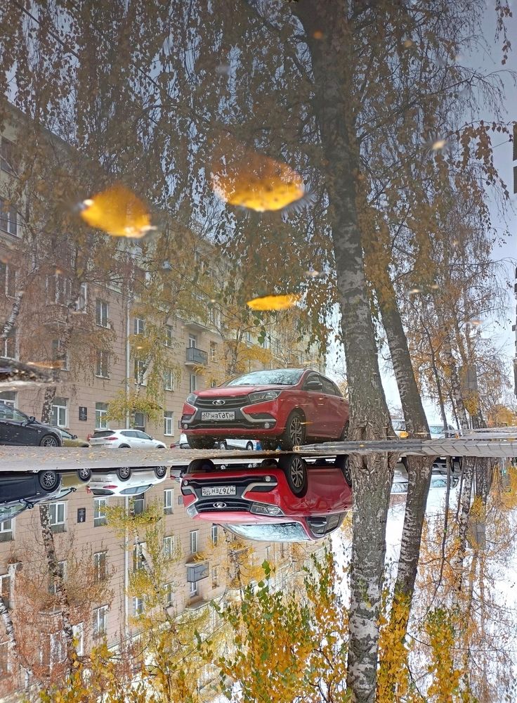 Фотография автора Татьяна Андреева