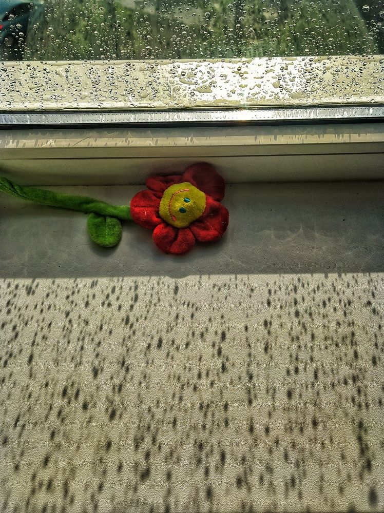 Фотография автора Гвоздецкая Анна