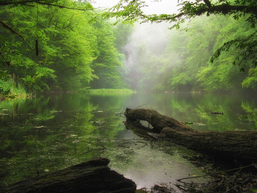 Photograph by Ali Memari