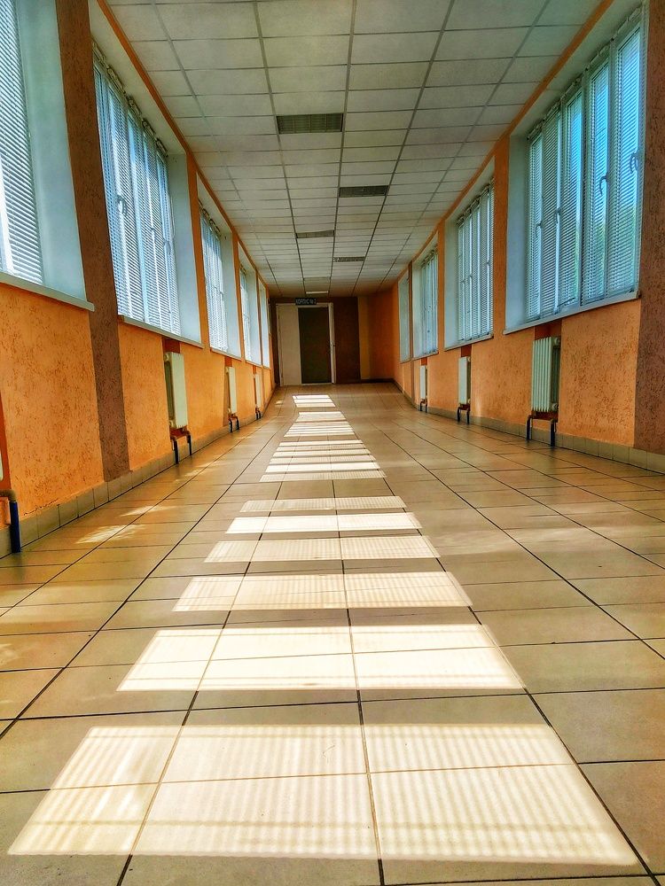 Фотография автора Гвоздецкая Анна