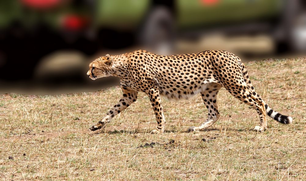 Photograph by Drora Baharal