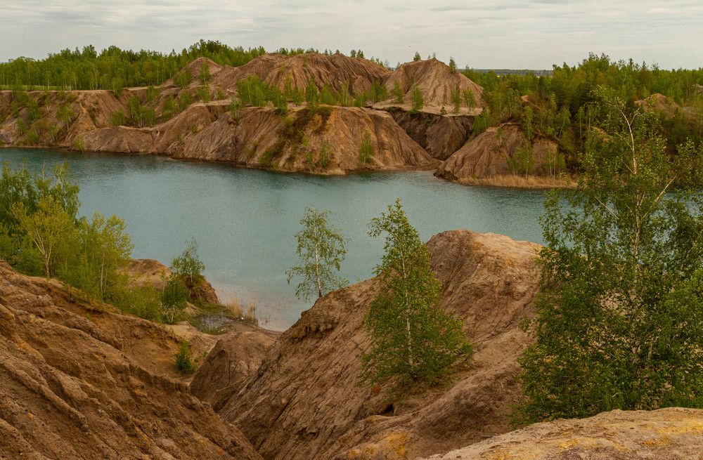 Фотография автора Алексей Тимофеев