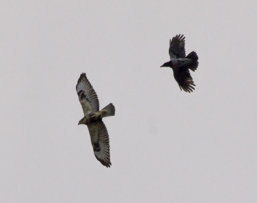 воздушный бой