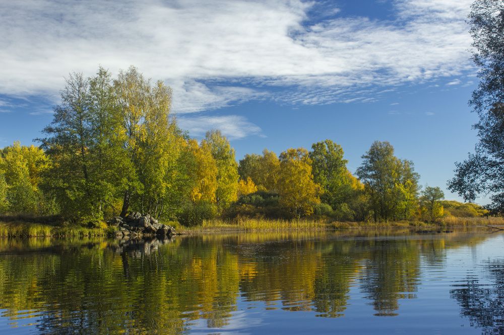 Осенние дни