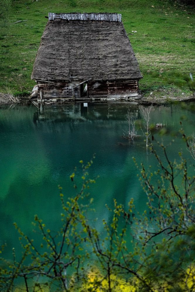 Фотография автора Alexandru Popescu