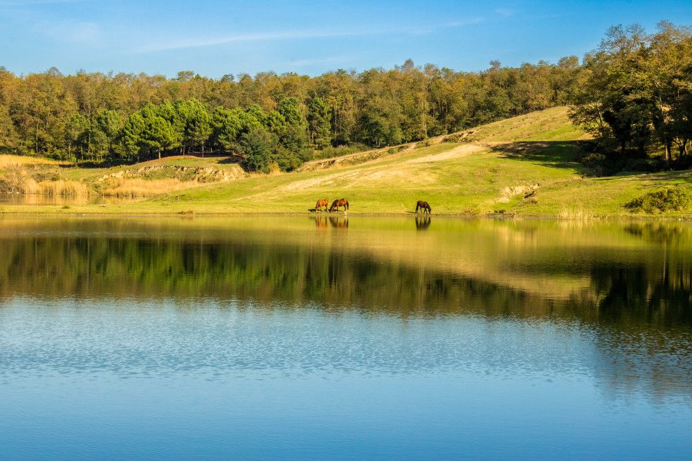 Photograph by Muharrem Bayrmoğlu