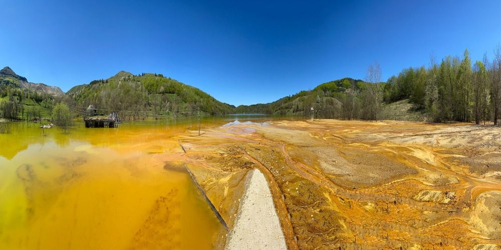 Фотография автора Alexandru Popescu