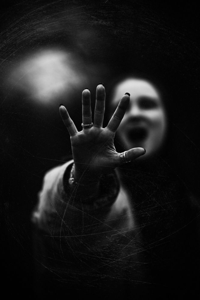 Фотография автора Сосновский Андрей