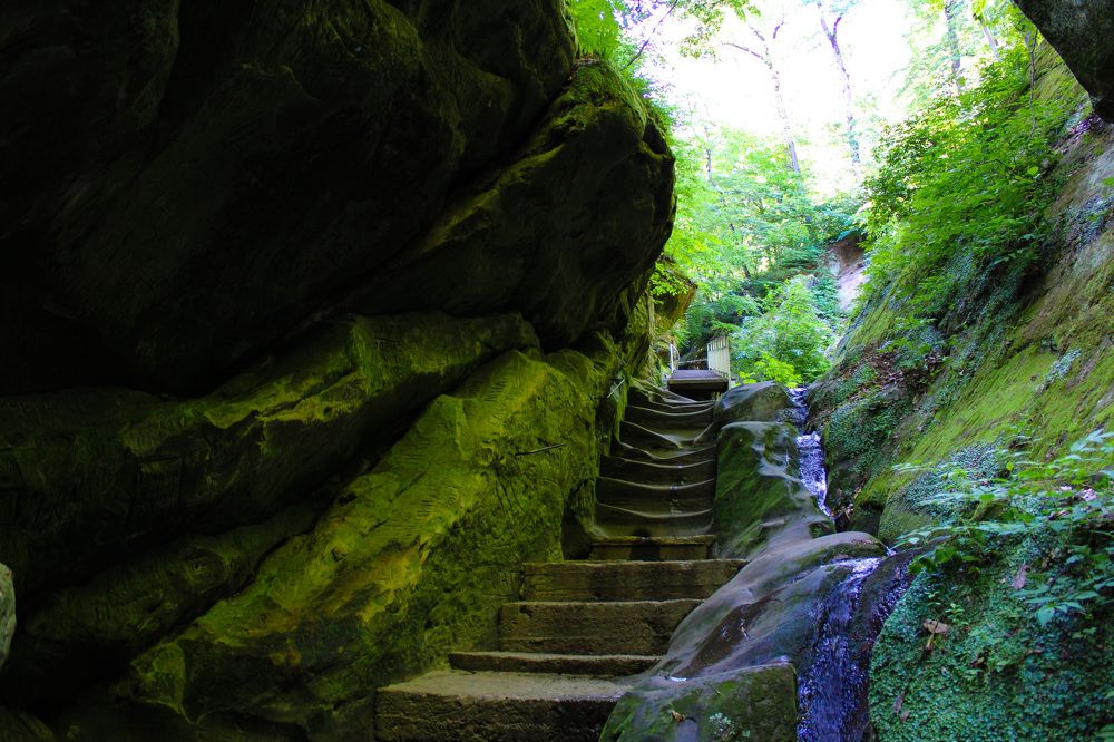 Photograph by Елизавета (Bess)