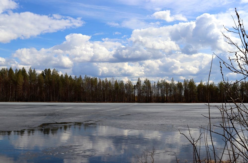 Photograph by Нина Чугунова