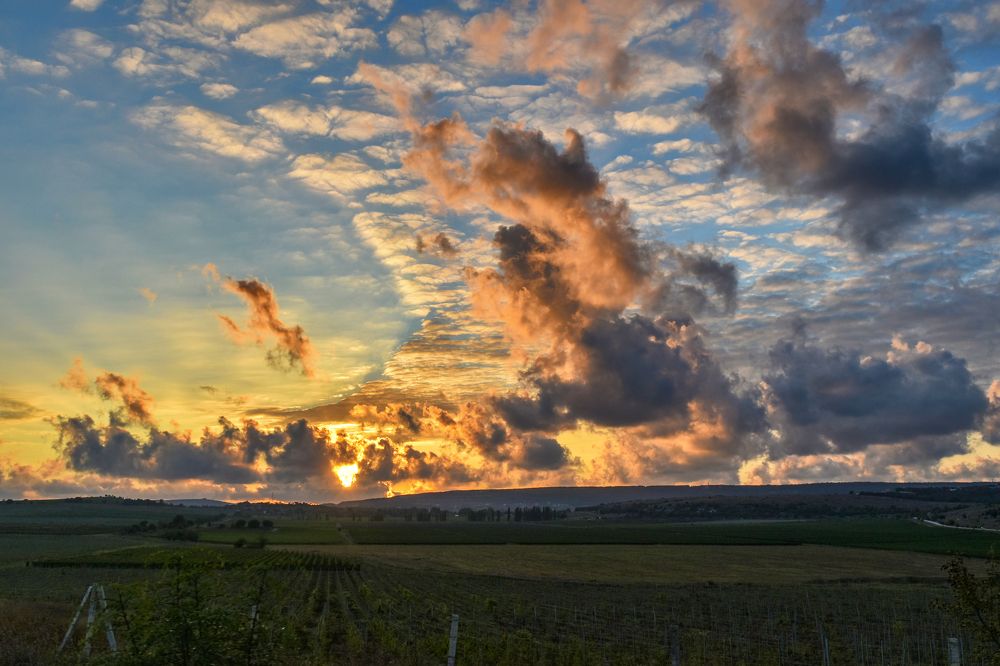 Photograph by Игорь Кузьмин