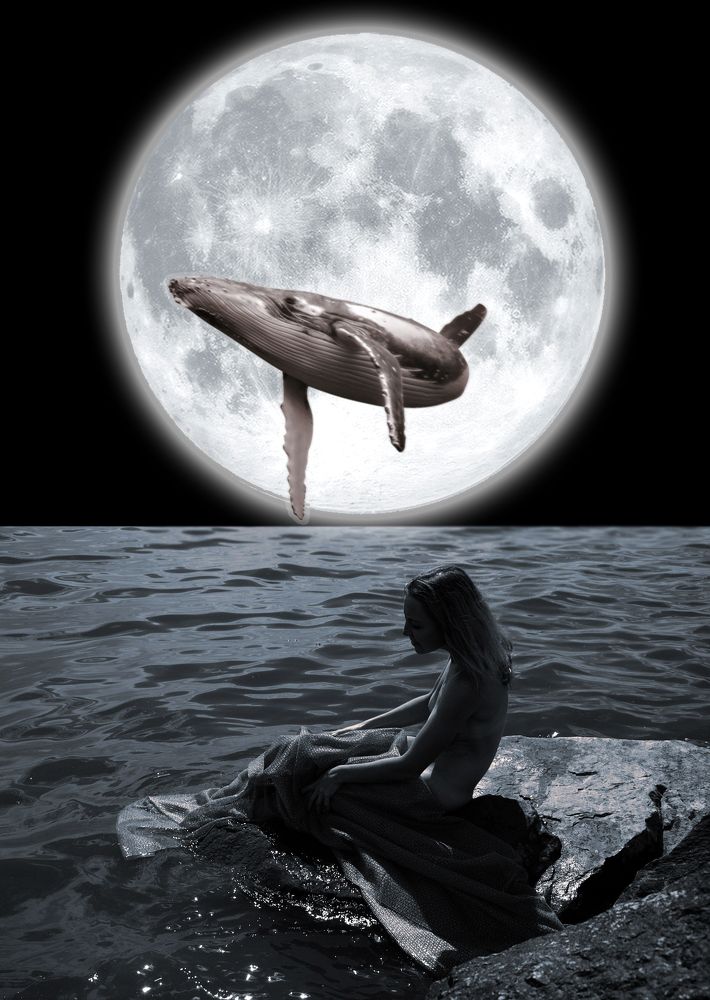 Фотография автора Андрей Данильсон