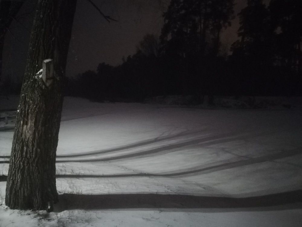 Photograph by Светлана Батурова