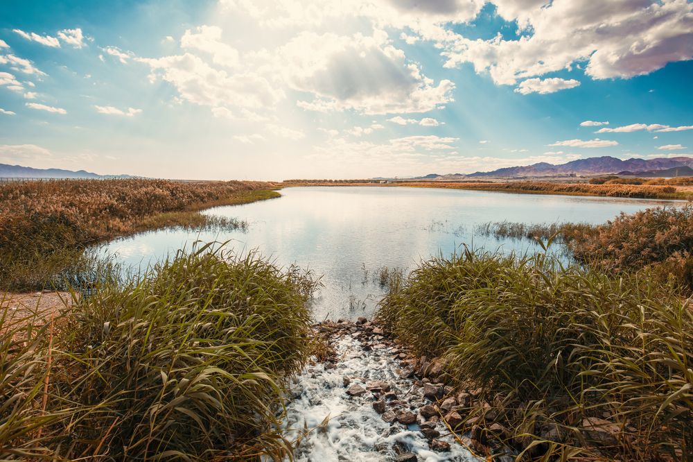 Фотография автора Dmitry Shterenberg