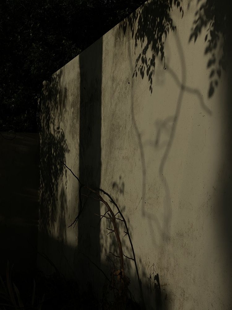 Photograph by Кладкевич Оксана