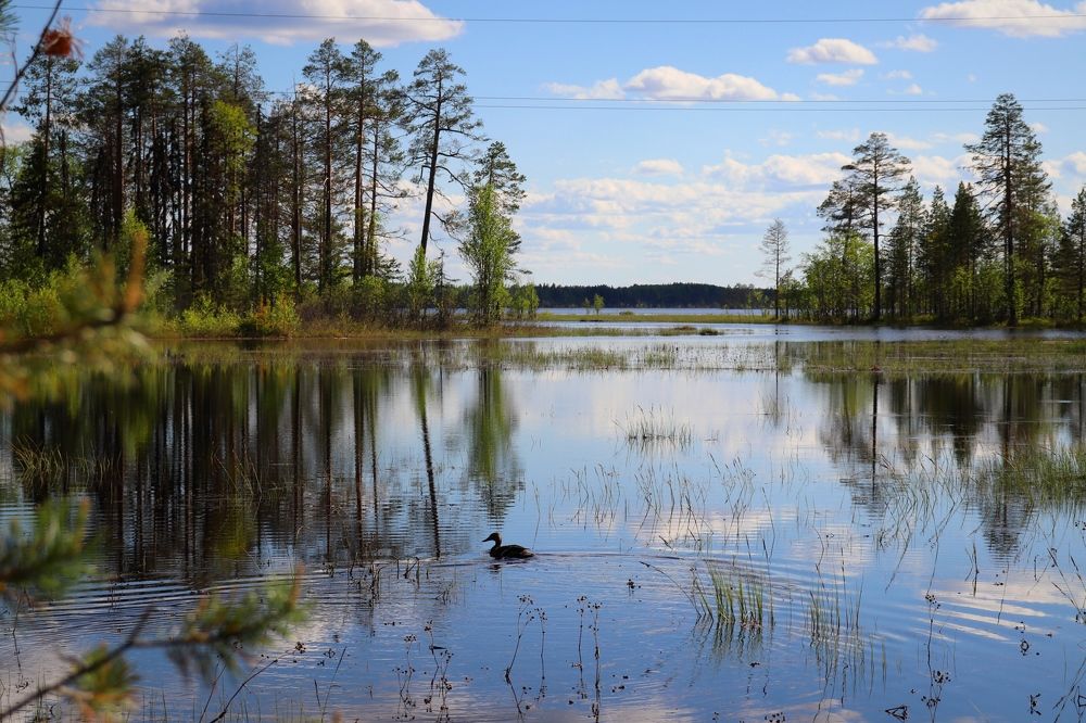 Photograph by Нина Чугунова