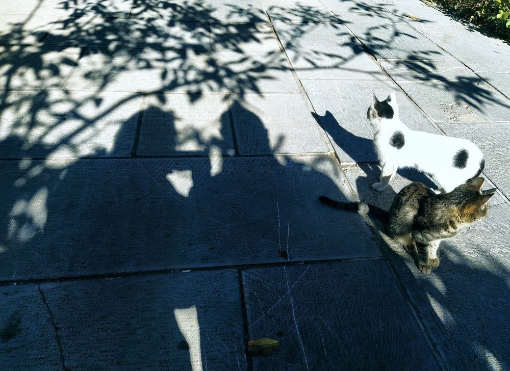 Photograph by Татьяна Мазок