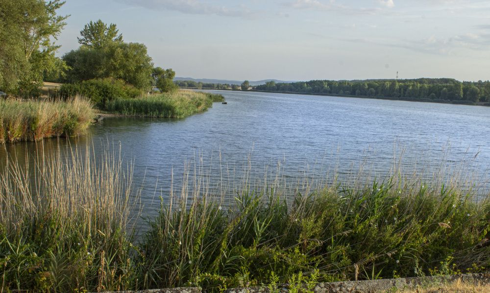 Фотография автора János Rábli