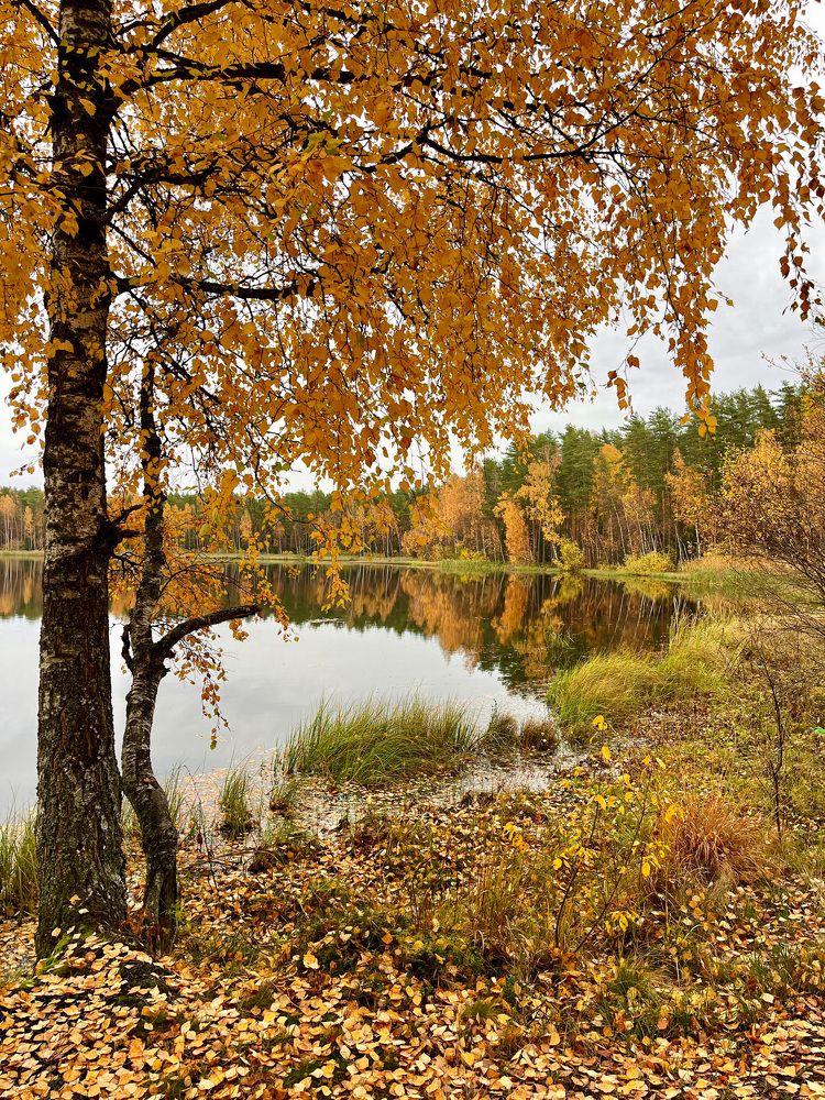 Photograph by Александра Некрасова