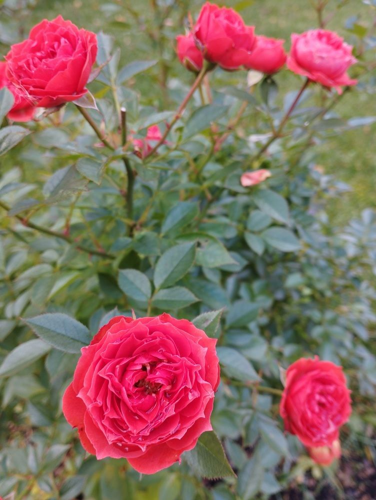 Photograph by Ольга Антохина