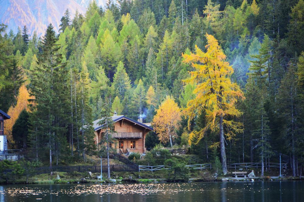 Photograph by Luís Agostinho