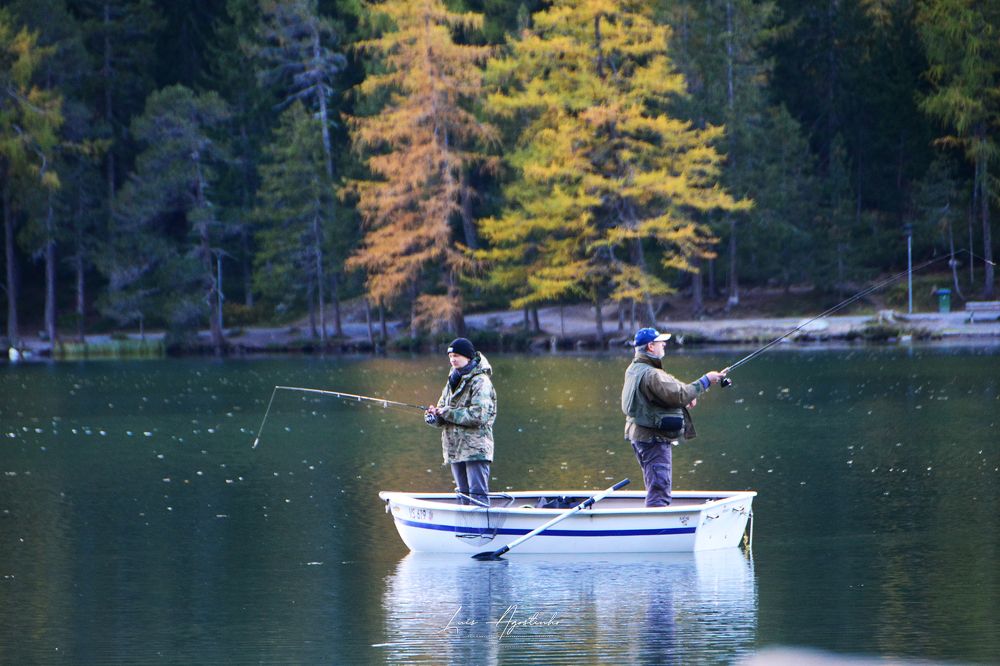 Photograph by Luís Agostinho