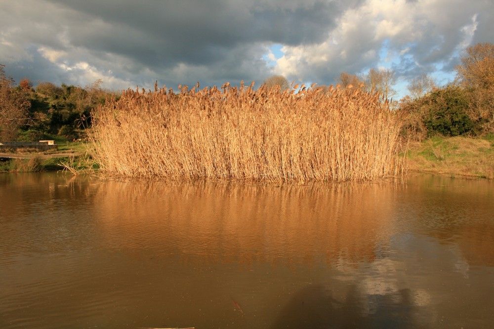 Photograph by Christos Makridimitris