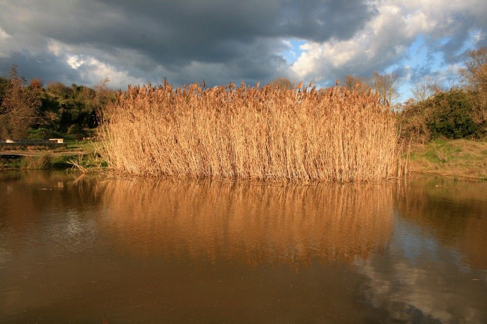 Nearby Zagliveri, municipality of Lagadas, Thessaloniki