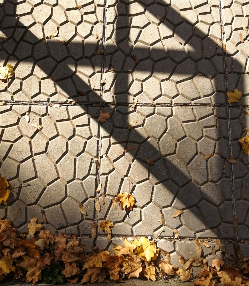 Photo #8370784