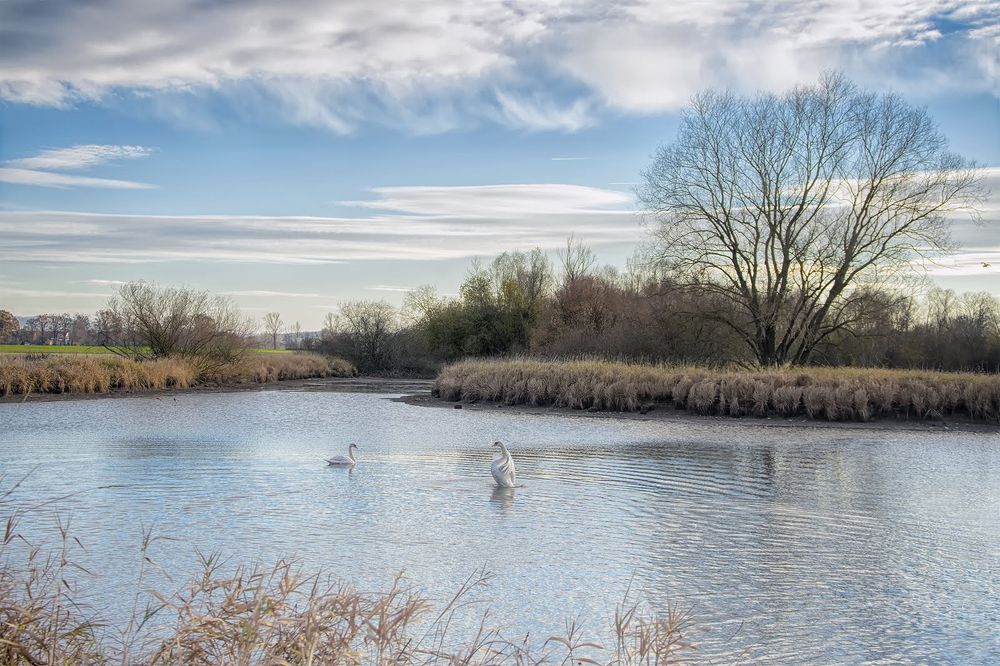 Весна на озере