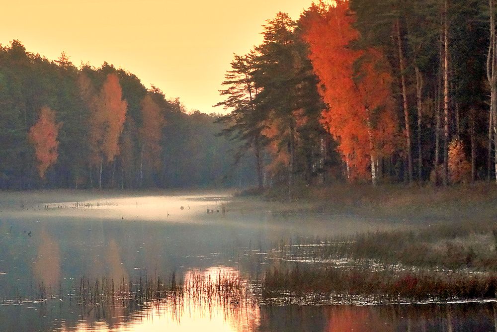 Льговское озеро в Орловском Полесье