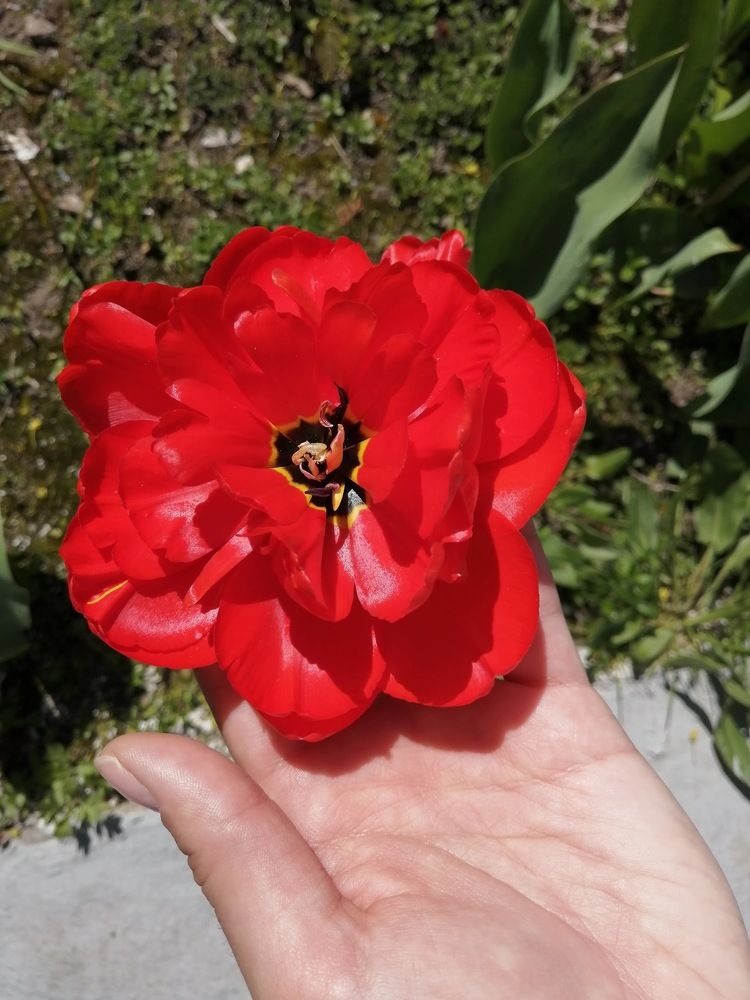 Photograph by Ольга Антохина