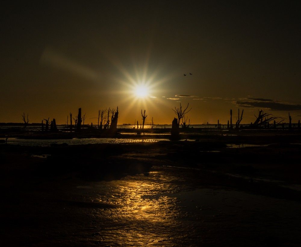 Photograph by jorge arnoten