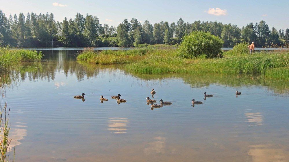 Photograph by Мигун Александра