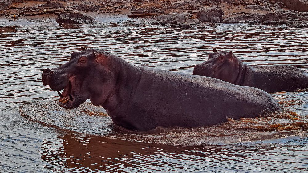 Photograph by Андрей Панин