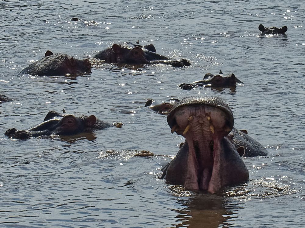 Photograph by Андрей Панин