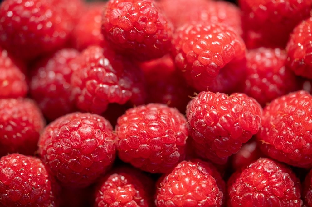 Фотография автора Viktoriya Kim