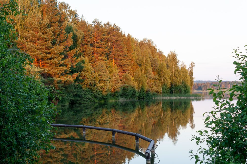 Photograph by Дмитрий Кузнецов