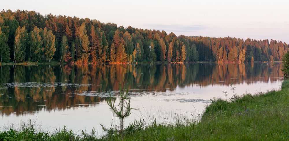 Photograph by Дмитрий Кузнецов