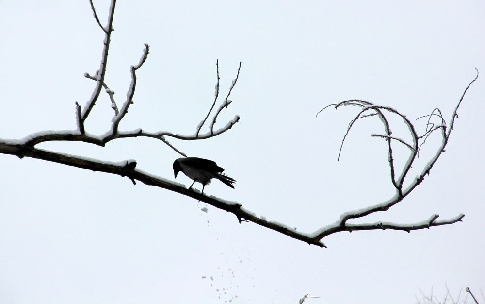 Photograph by Жанна Валиева