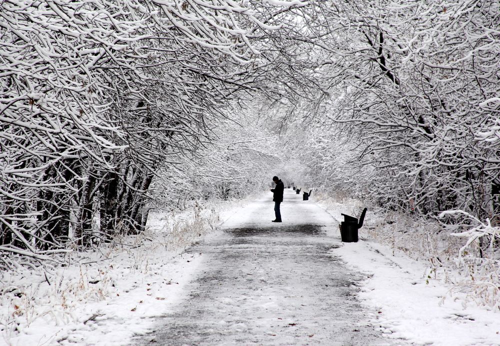 Photograph by Жанна Валиева