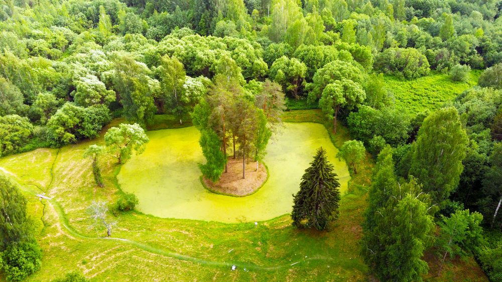 Photograph by Балакин Евгений