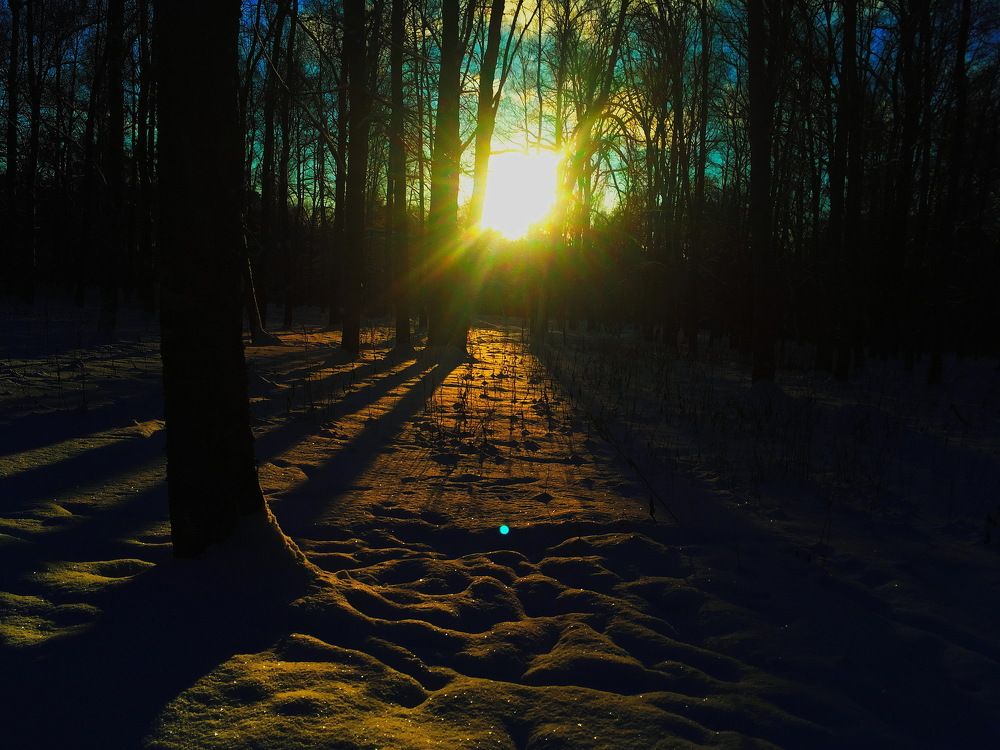 Светотень...солнышко...фото 2...