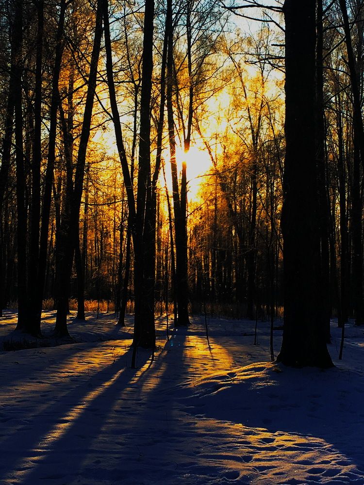 Светотень...солнышко...фото 3...